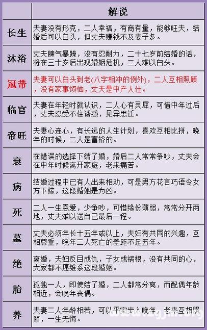 八字查询免费入口