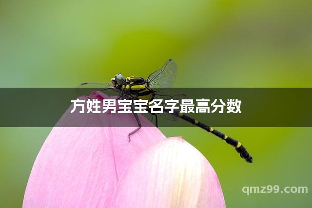 起名分数查询