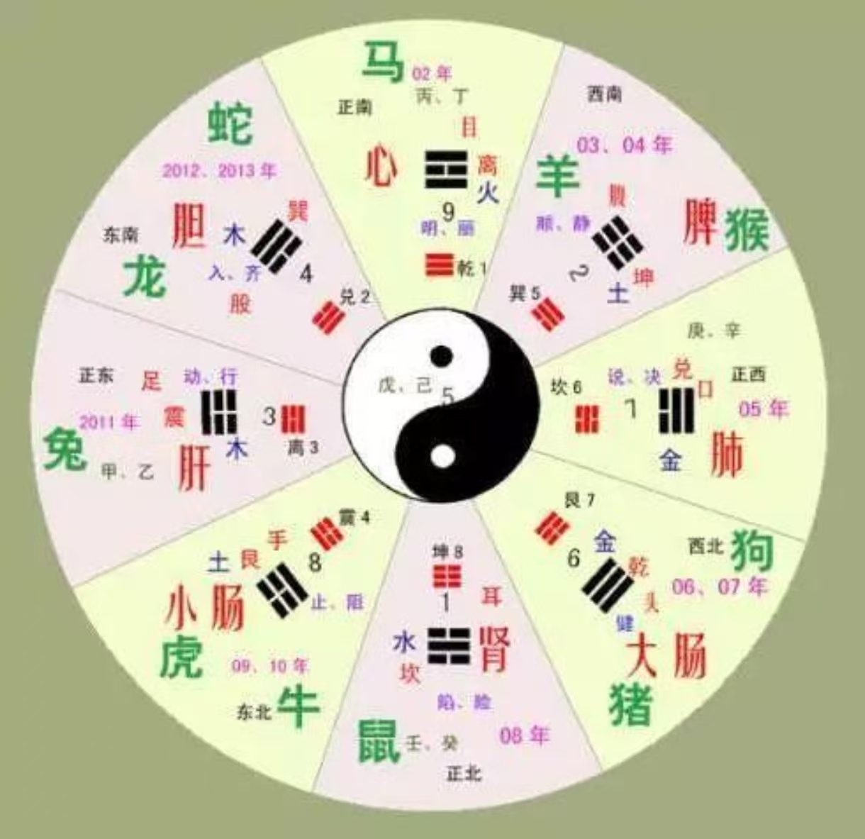 八卦对应的家庭成员
