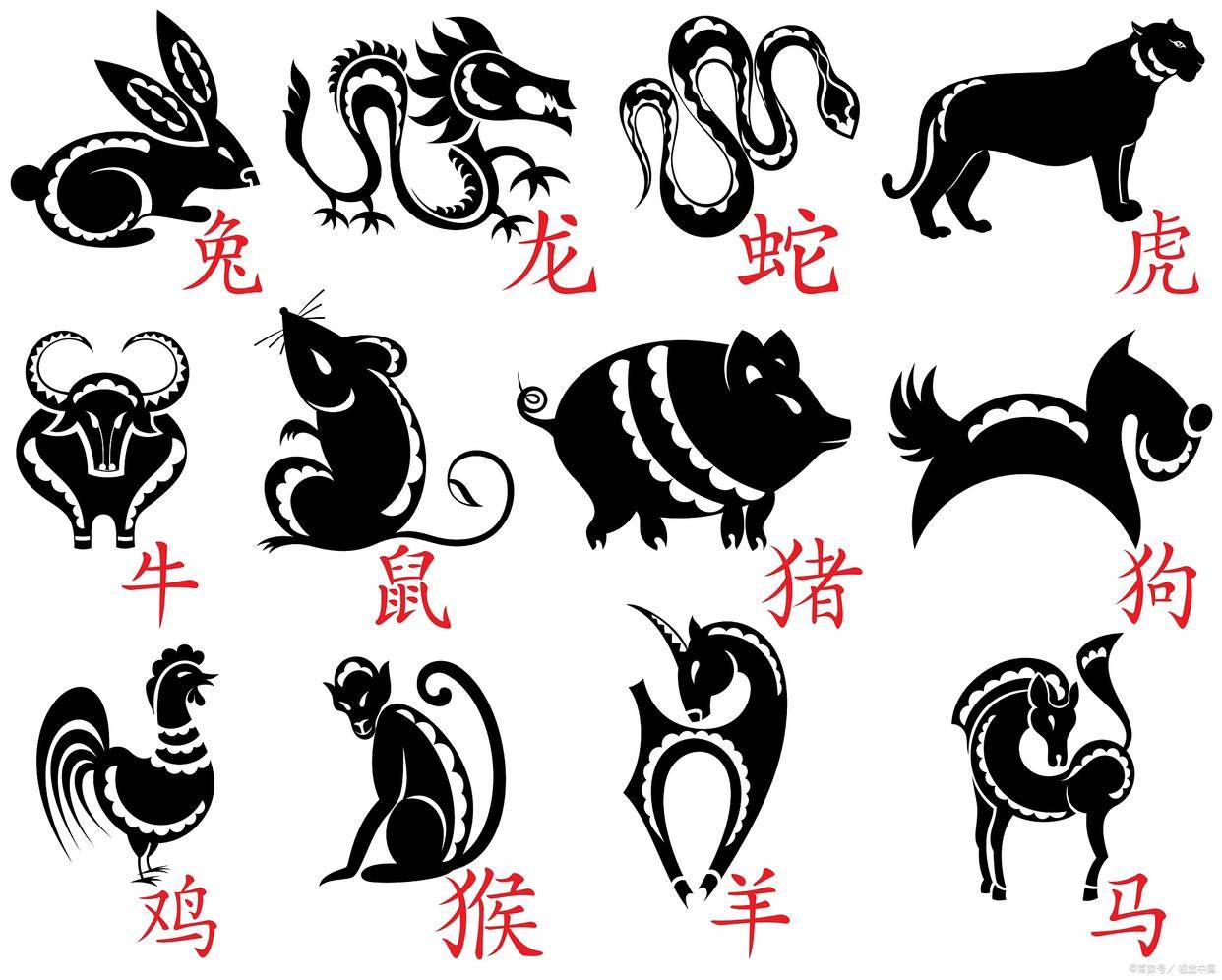 2019生肖表