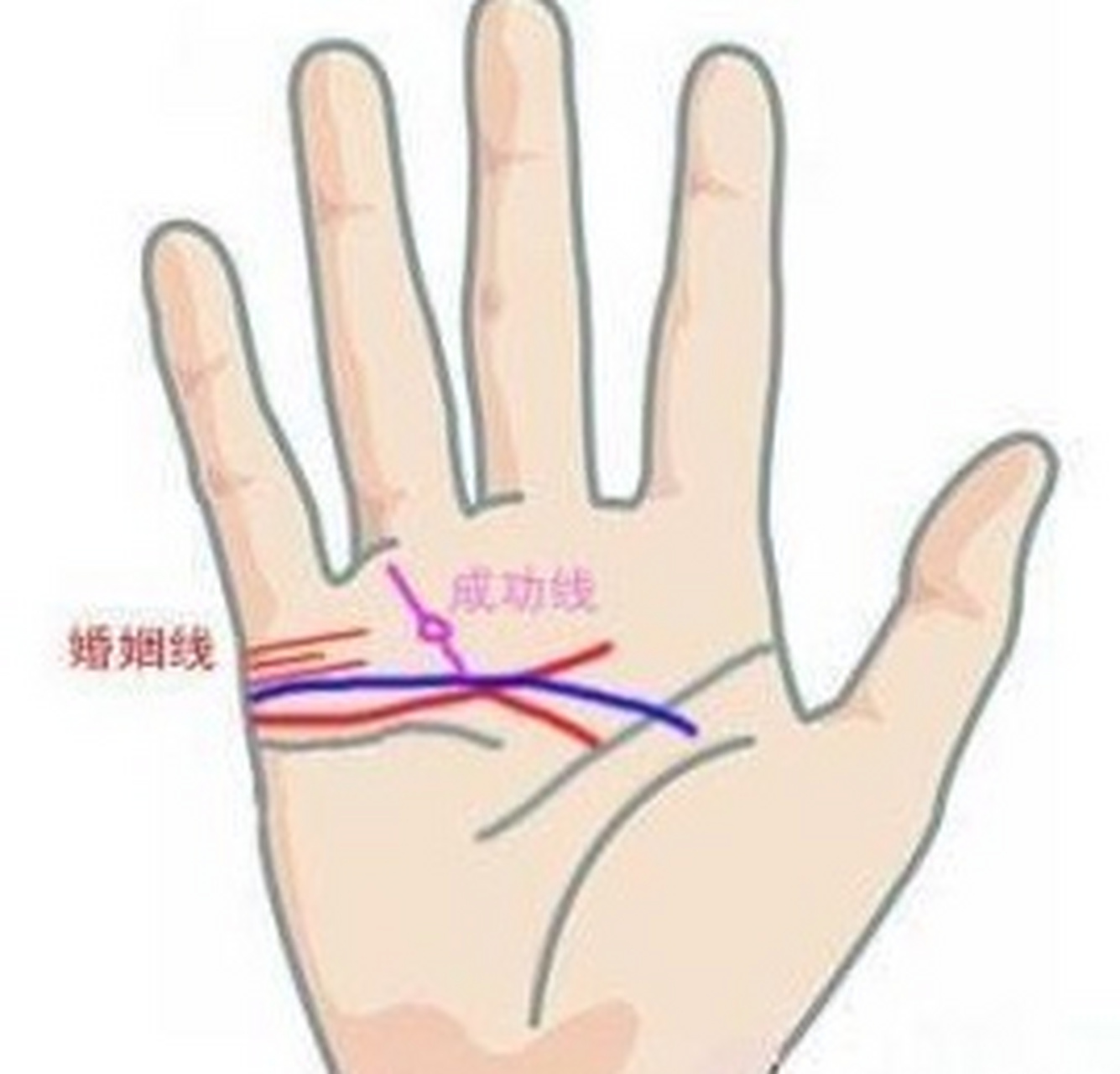 婚姻运势