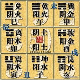真八字排盘入口