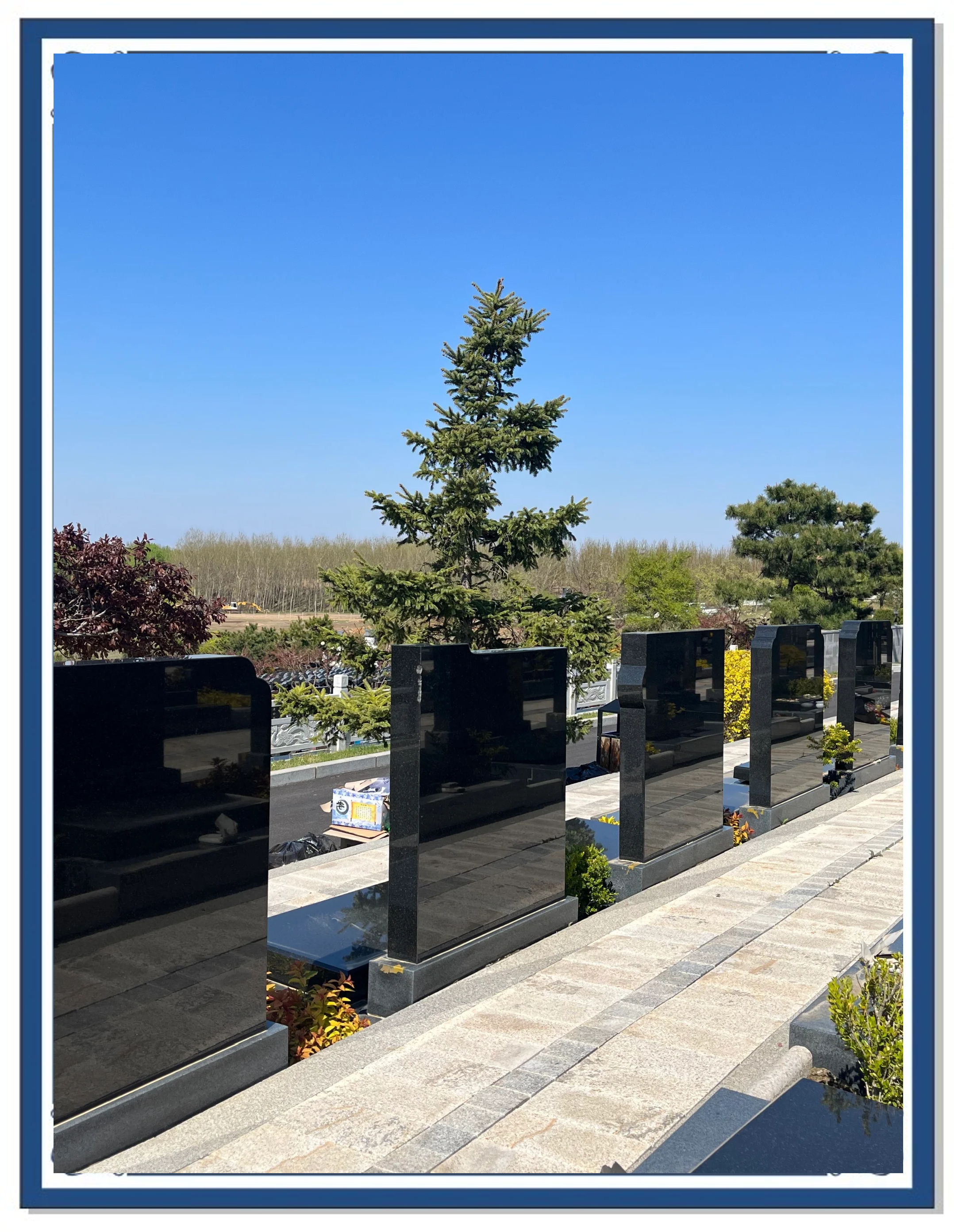 怎么选择墓地 怎么选择墓地