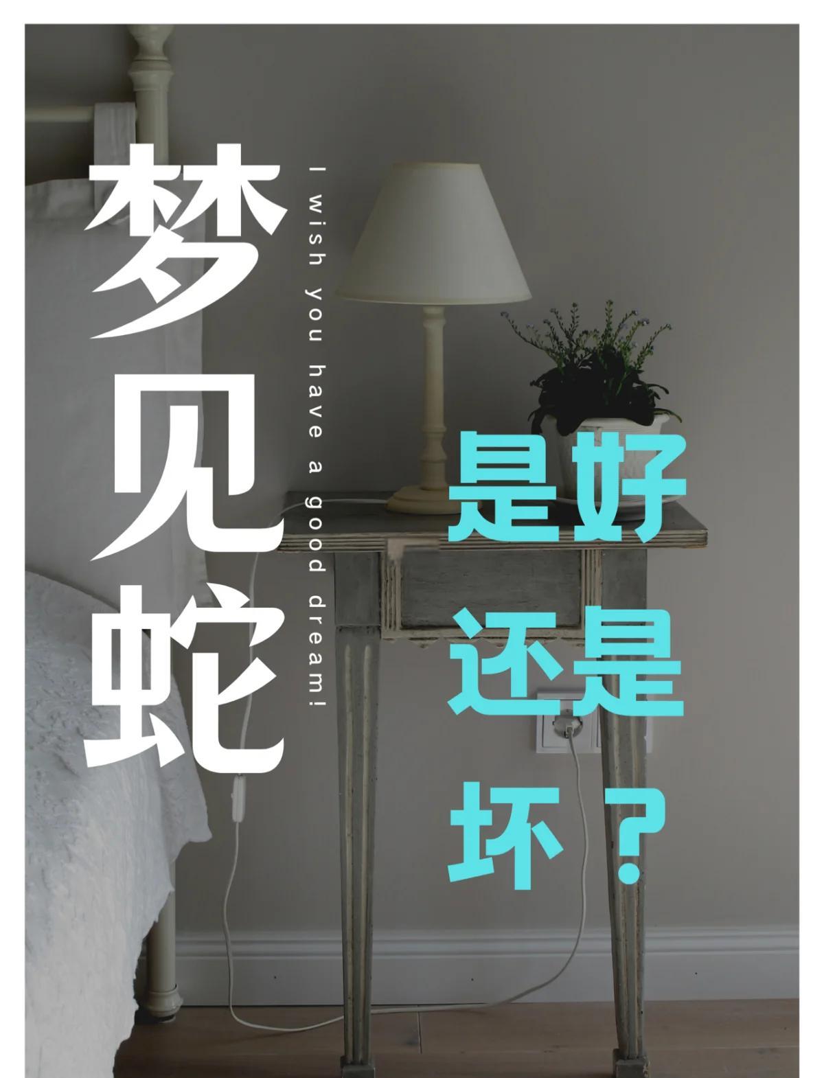 梦见蛇周公解梦原版