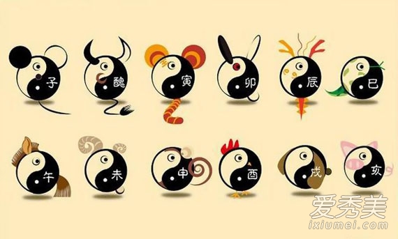 APP属相 APP属相