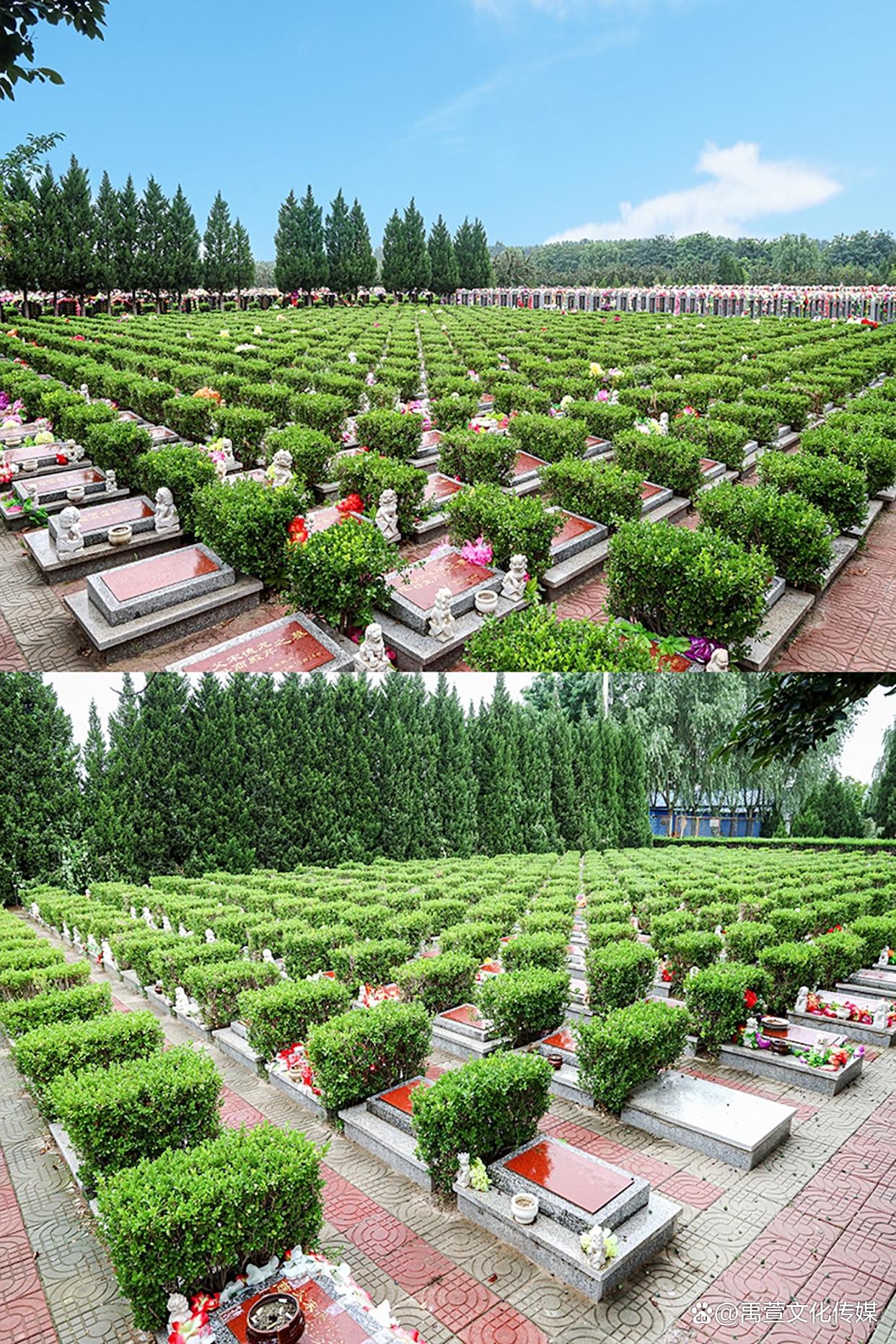 墓地怎么选才好