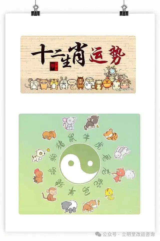 属相每周运势