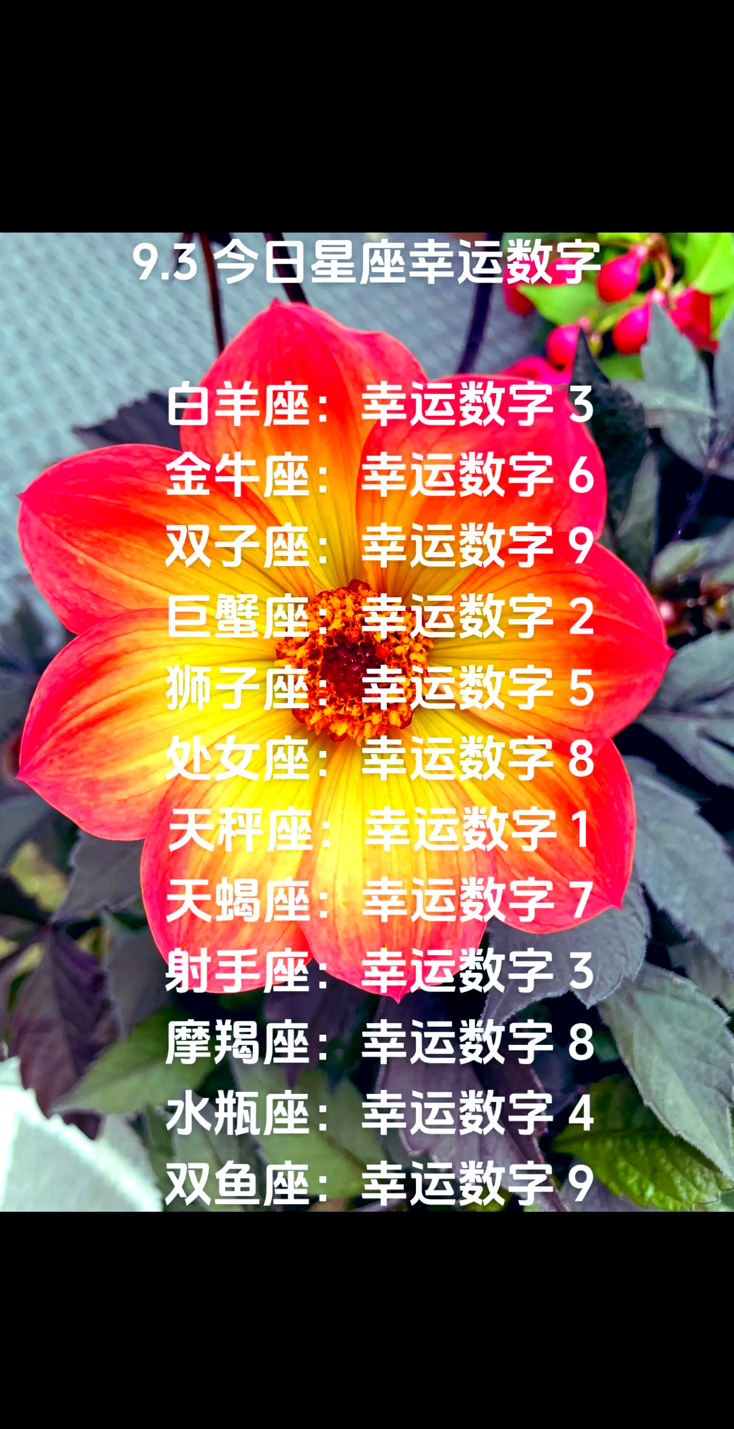 金牛座今日运势财神方位查询