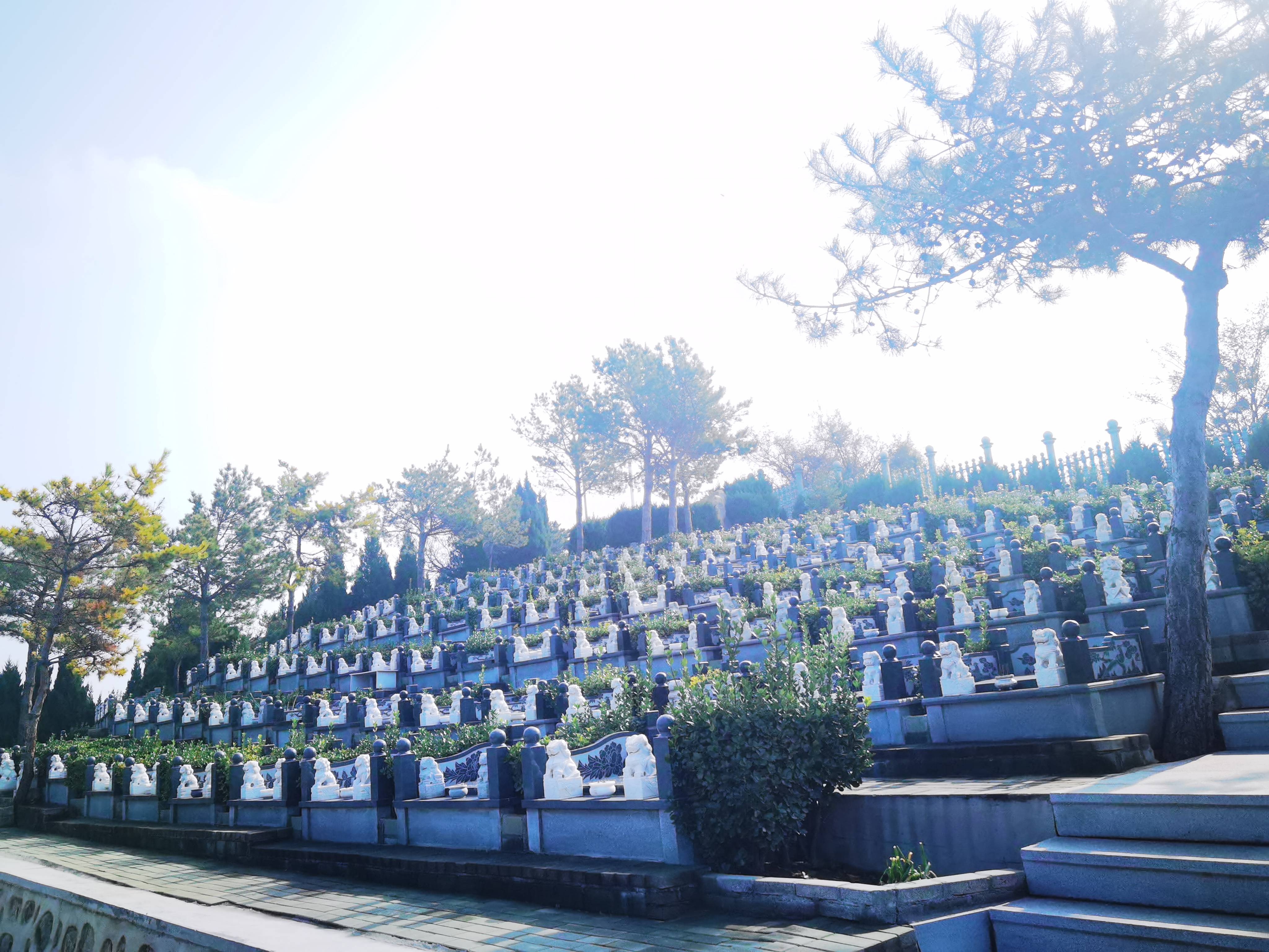 选墓地的最基本原则