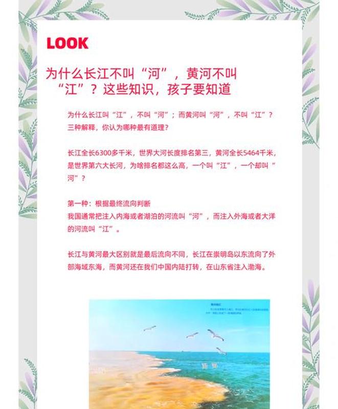 真正起名费用