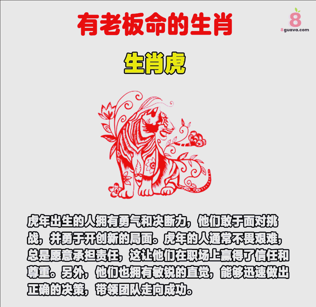 老板生肖