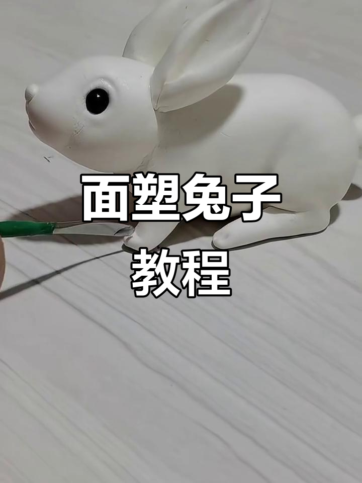 详解生肖教程 详解生肖教程