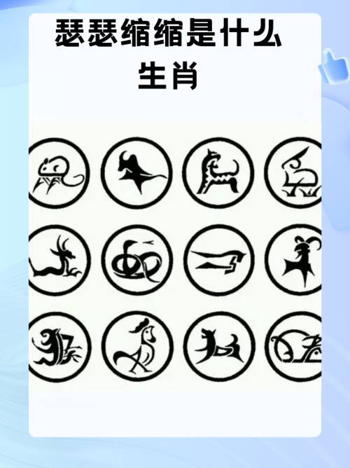 快速十二生肖