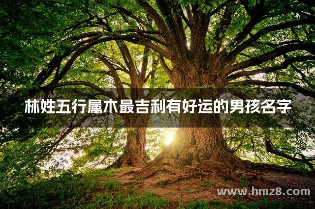 起名免费网带木 起名免费网带木