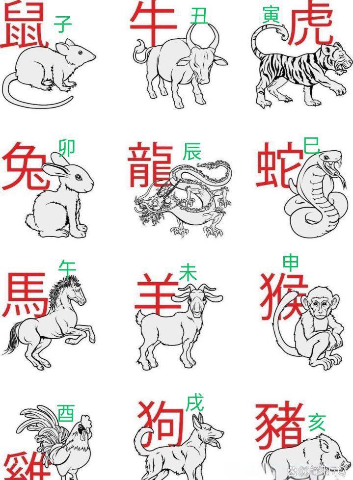 明年属相靠谱吗