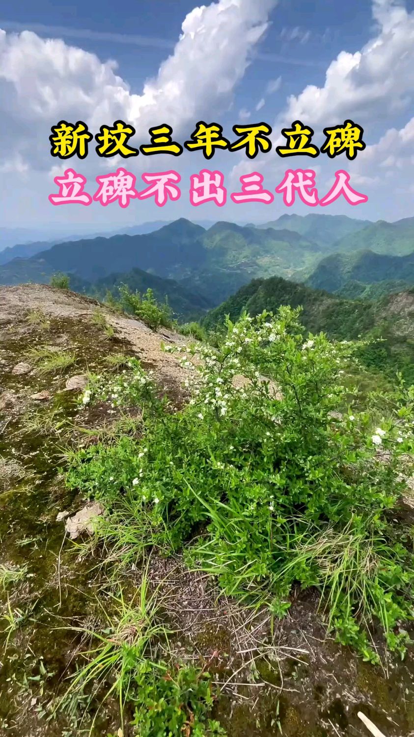 新坟三年看后人的预兆