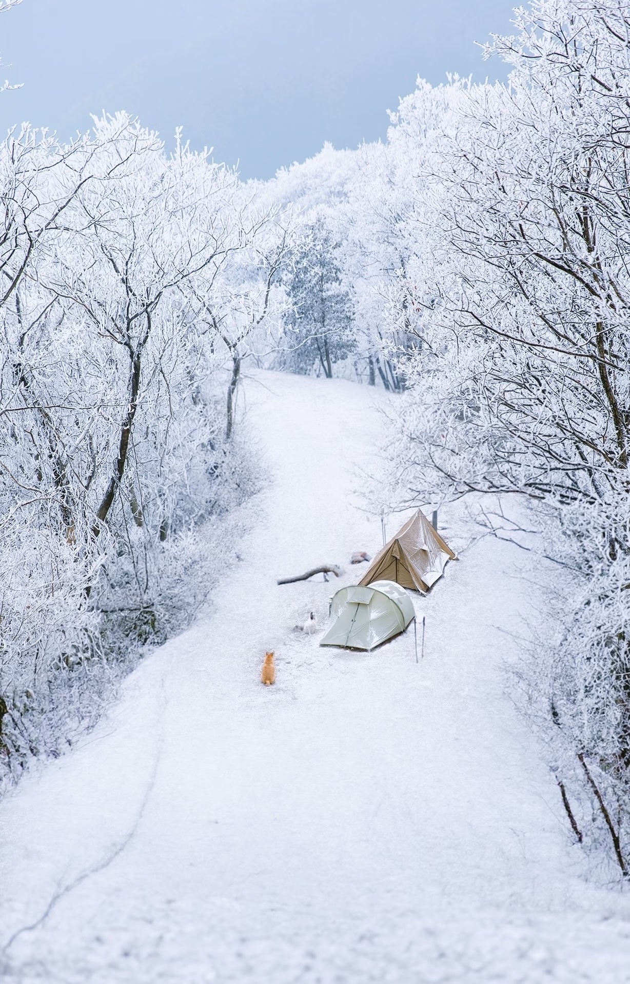 梦见下雪的解梦含义
