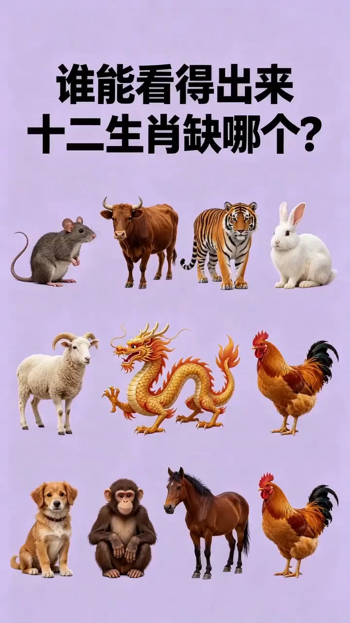 12生肖怎么排列顺序