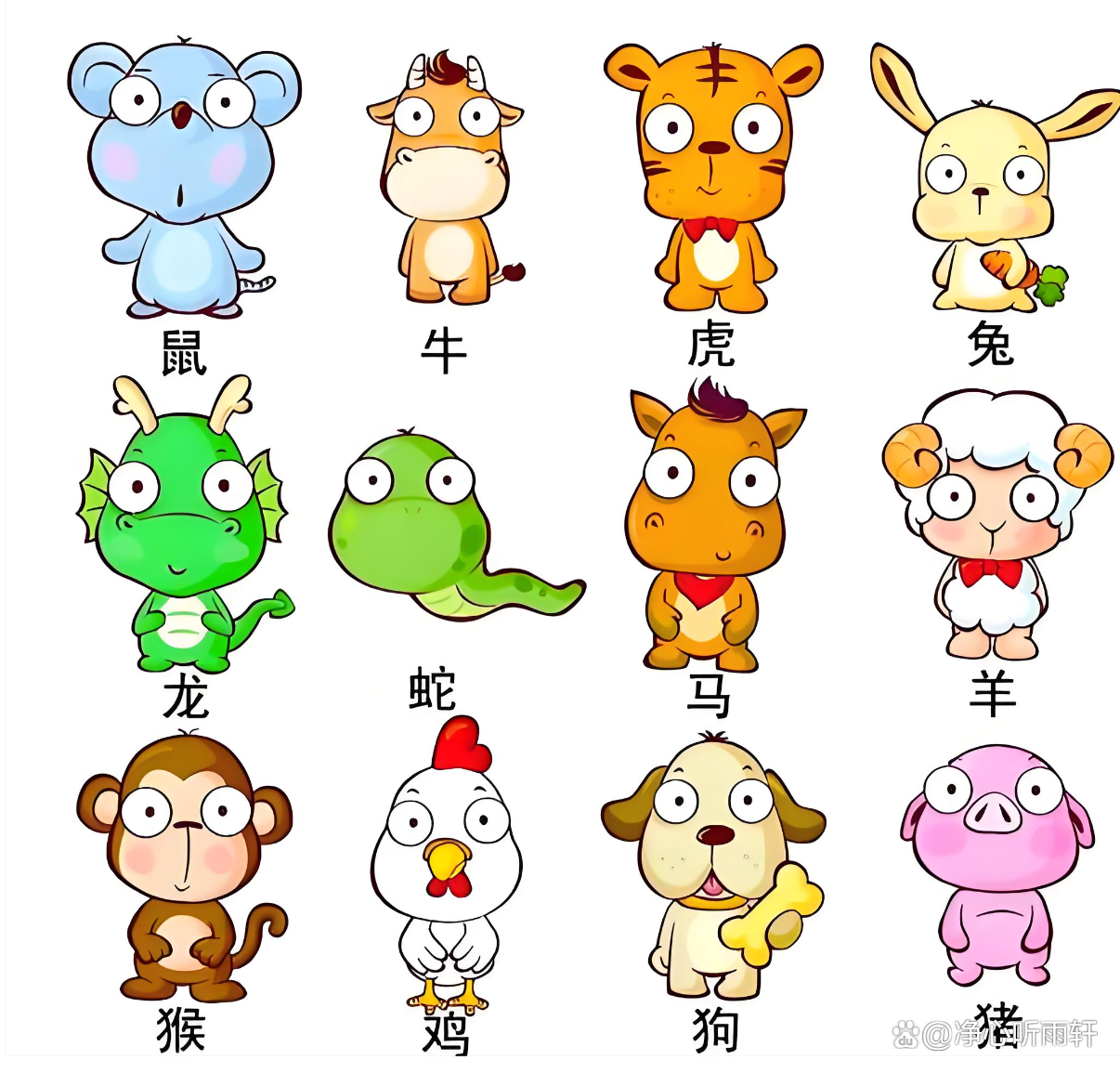 十二生肖小人运