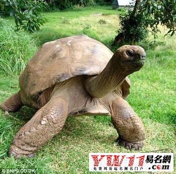 周公起名免费网站 周公起名免费网站