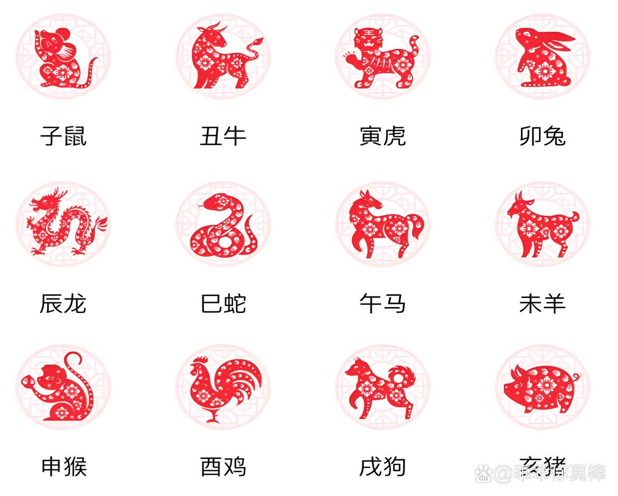 生肖表