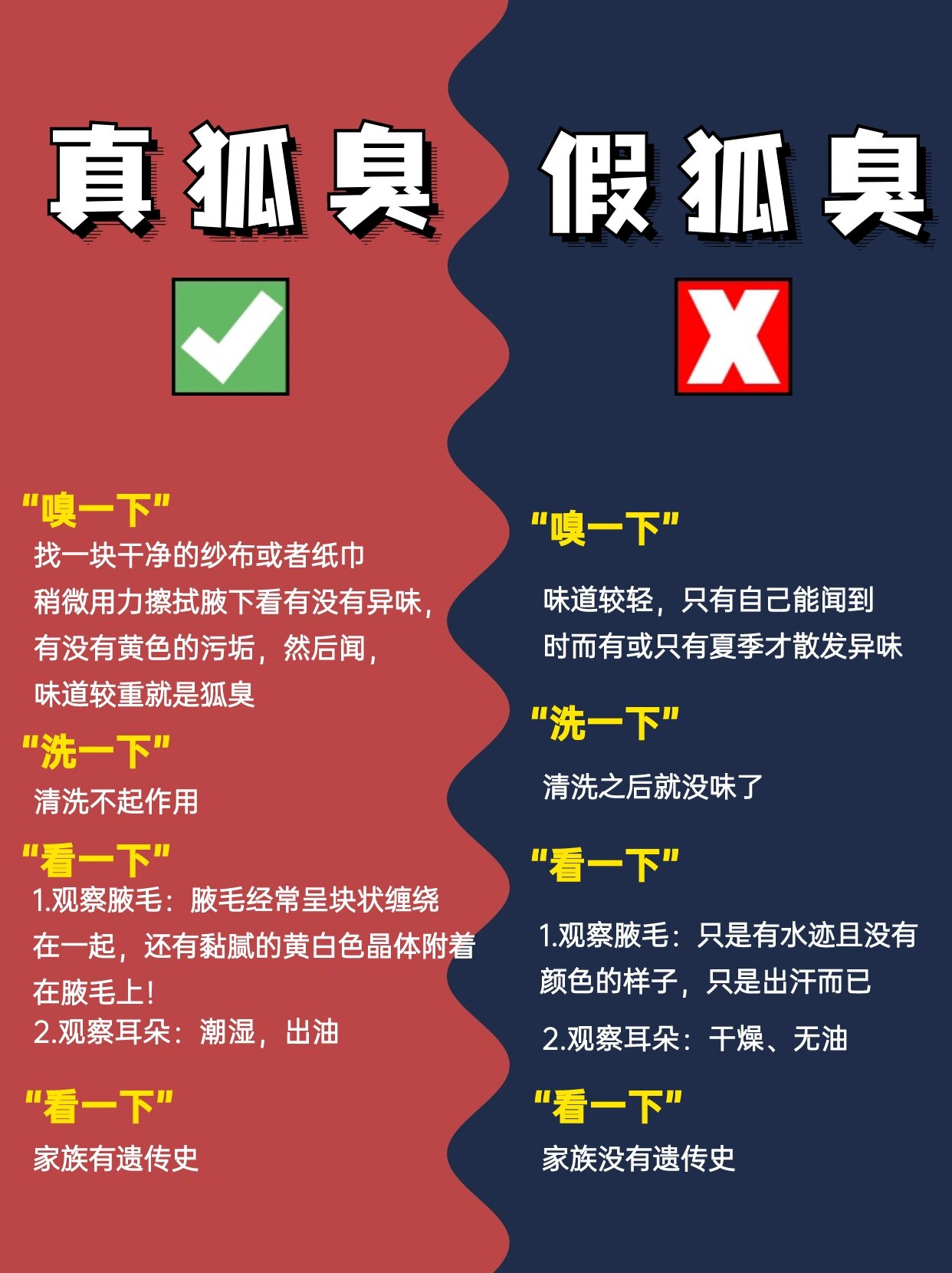 狐臭代表什么意思