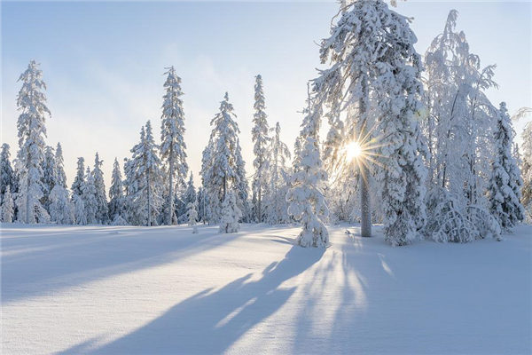 梦见下雪周公解梦大全查询