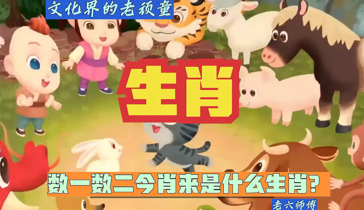 视频生肖靠谱吗