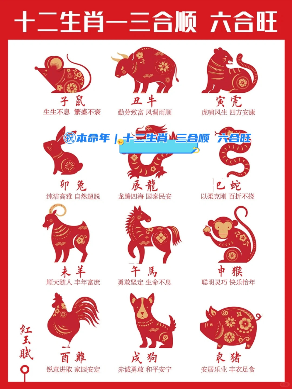 如何属相
