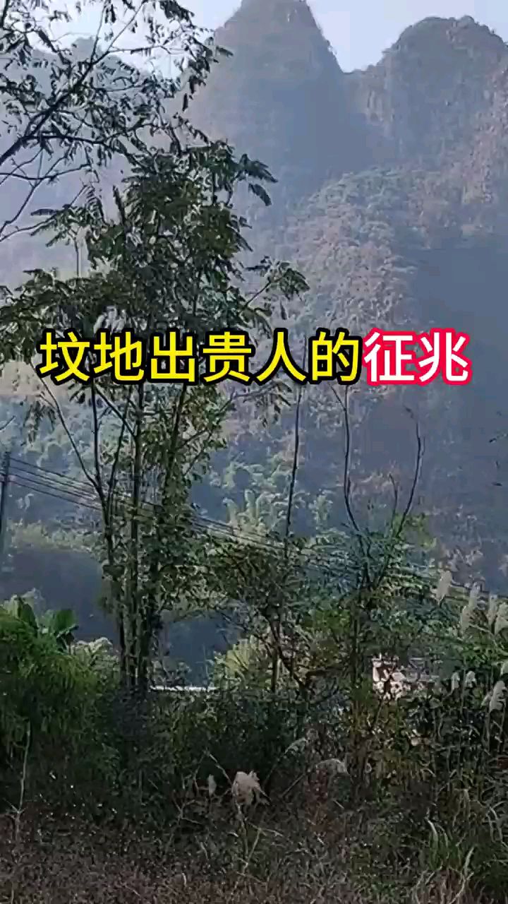 下葬后必看征兆 下葬后必看征兆