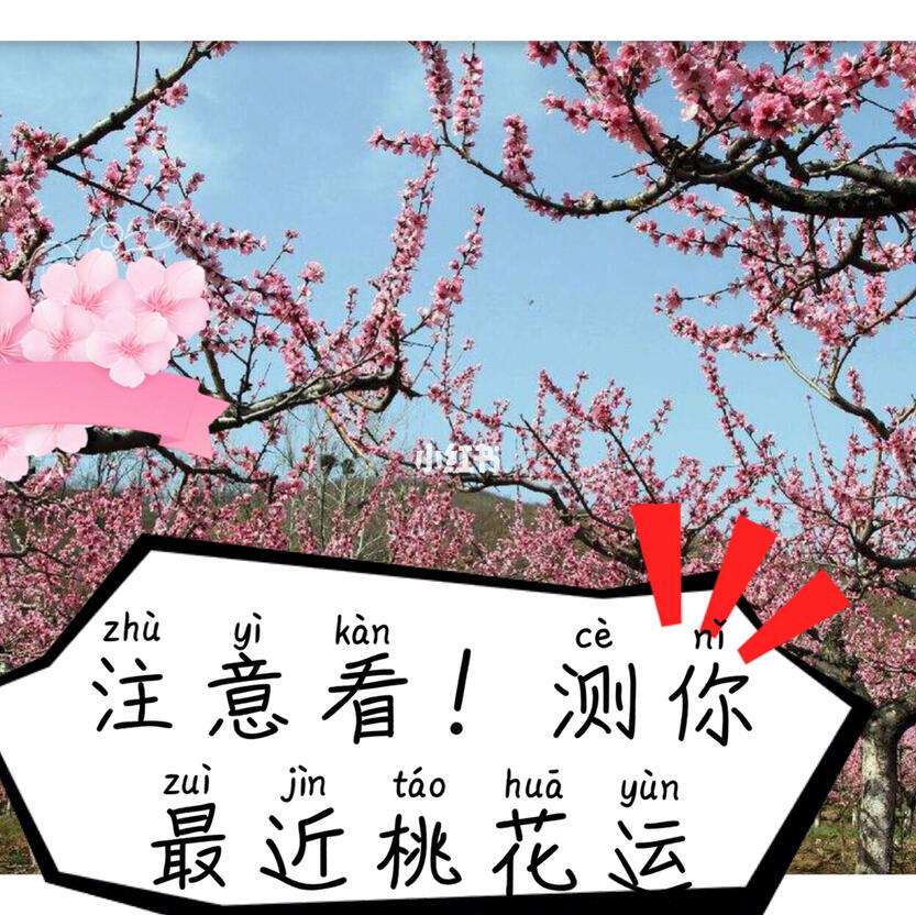 测桃花出现时间