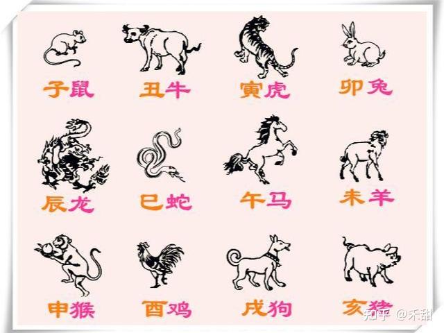 十二生肖怎么排列的顺序(十二生肖是怎么排的顺序视频解说)