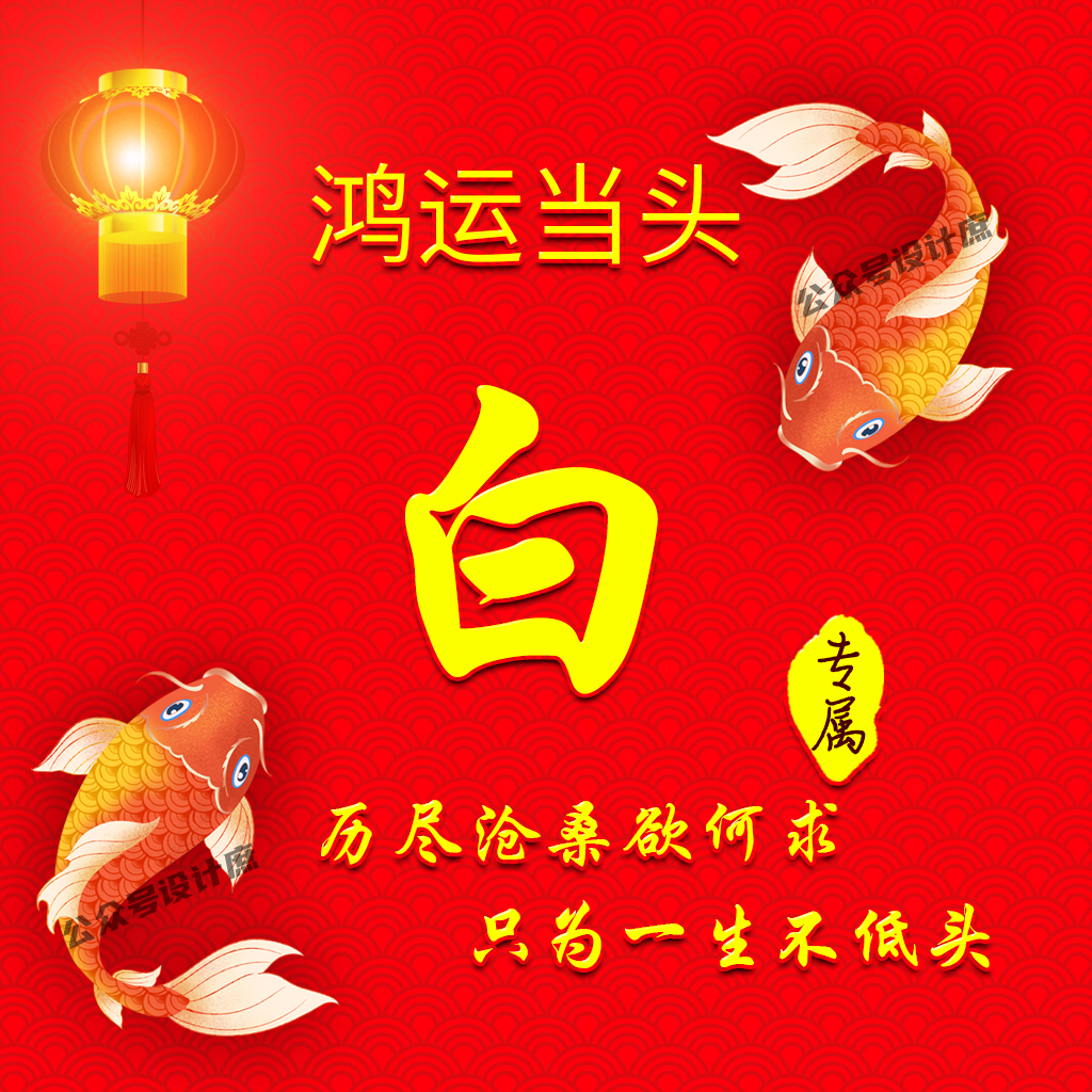 2024年白姓排第几位(2024年姓氏排行榜前100名)