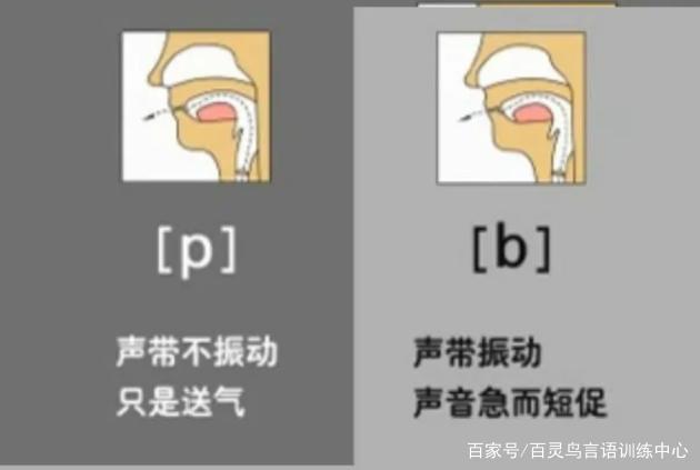 占卜的正确发音技巧是什么(占卜的正确发音技巧是什么意思)