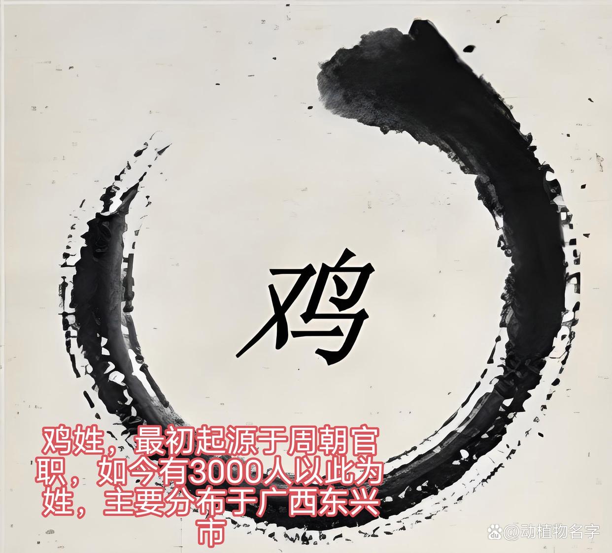 100种动物姓氏图片(100种动物名字和图片)
