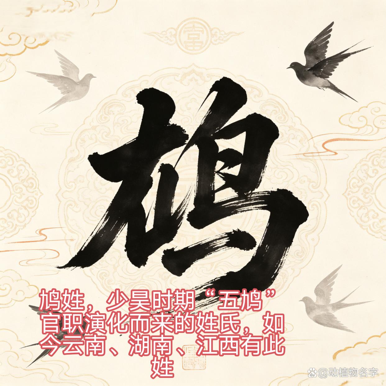 100种动物姓氏图片(100种动物名字和图片)