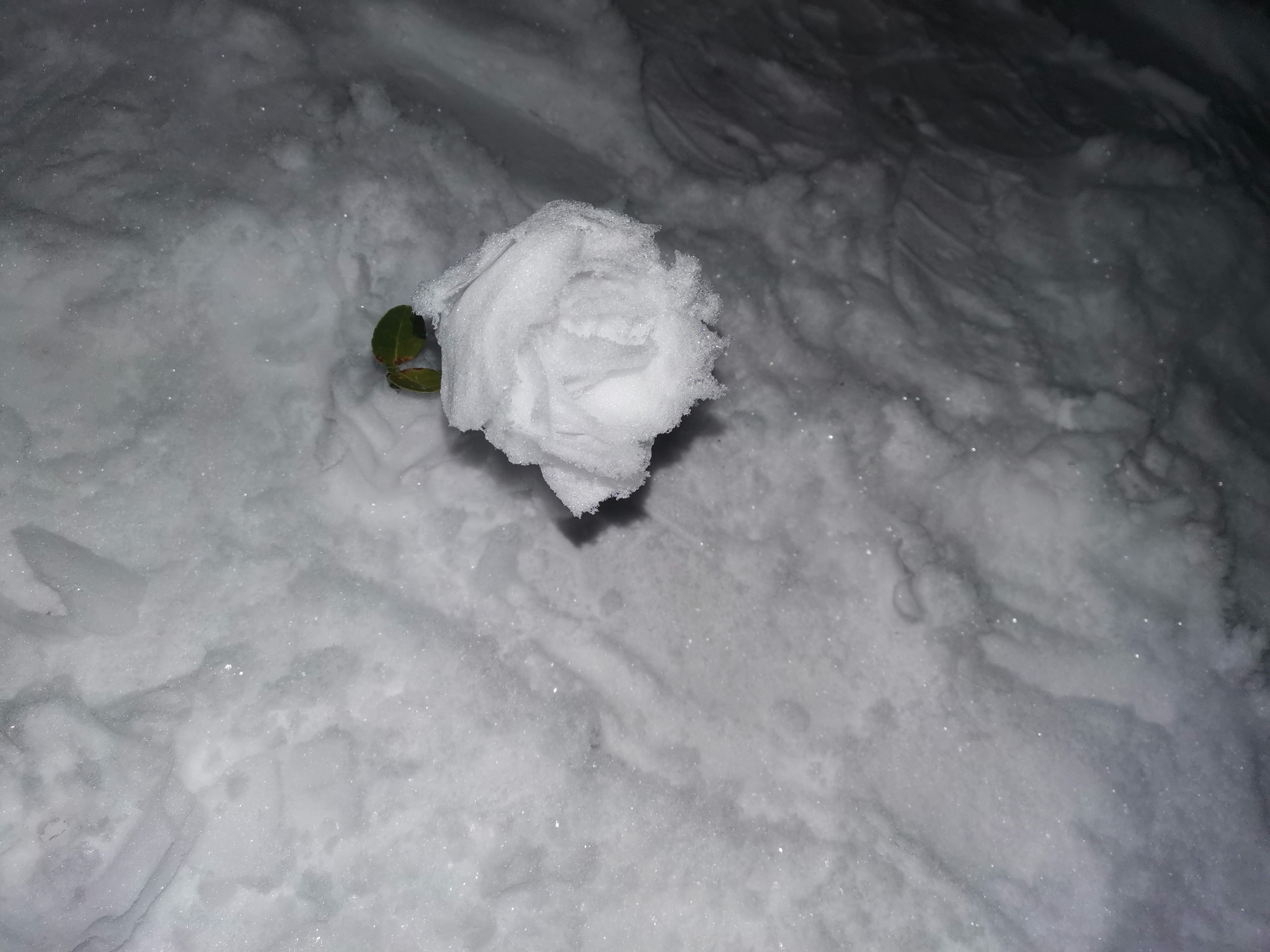 周公解梦下雪了什么征兆啊(周公解梦下雪了什么征兆啊女性)