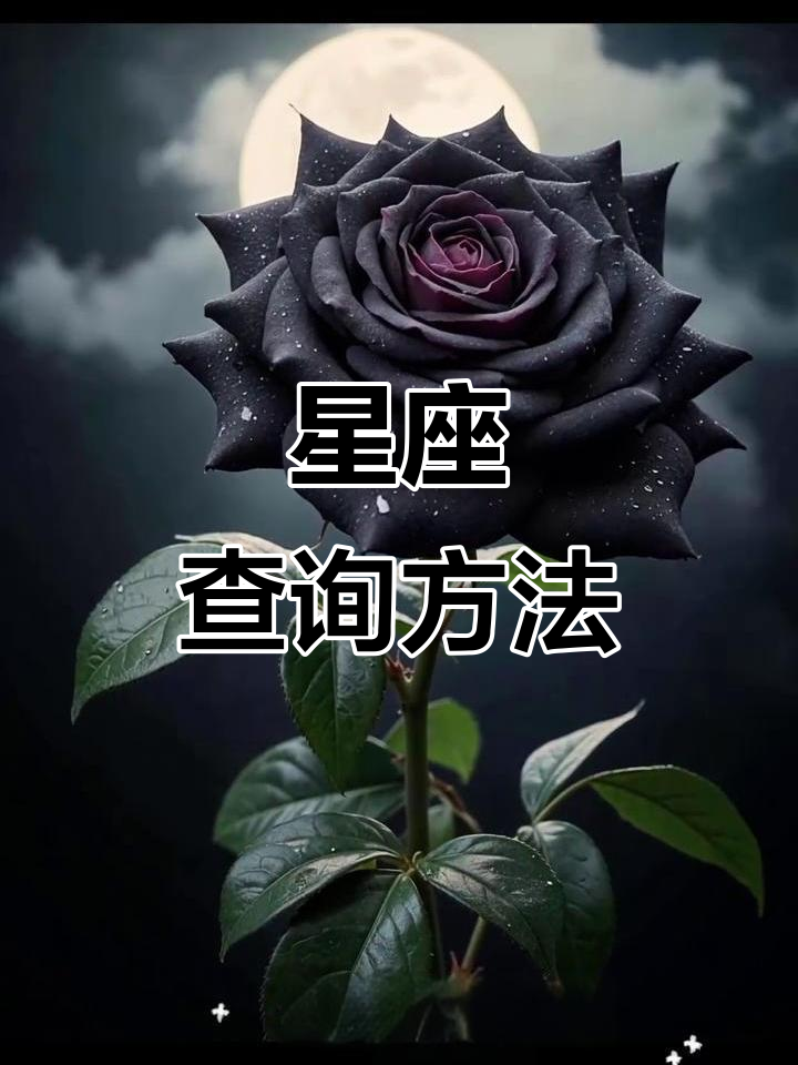 查星座(查星座是按阳历还是阴历的生日)