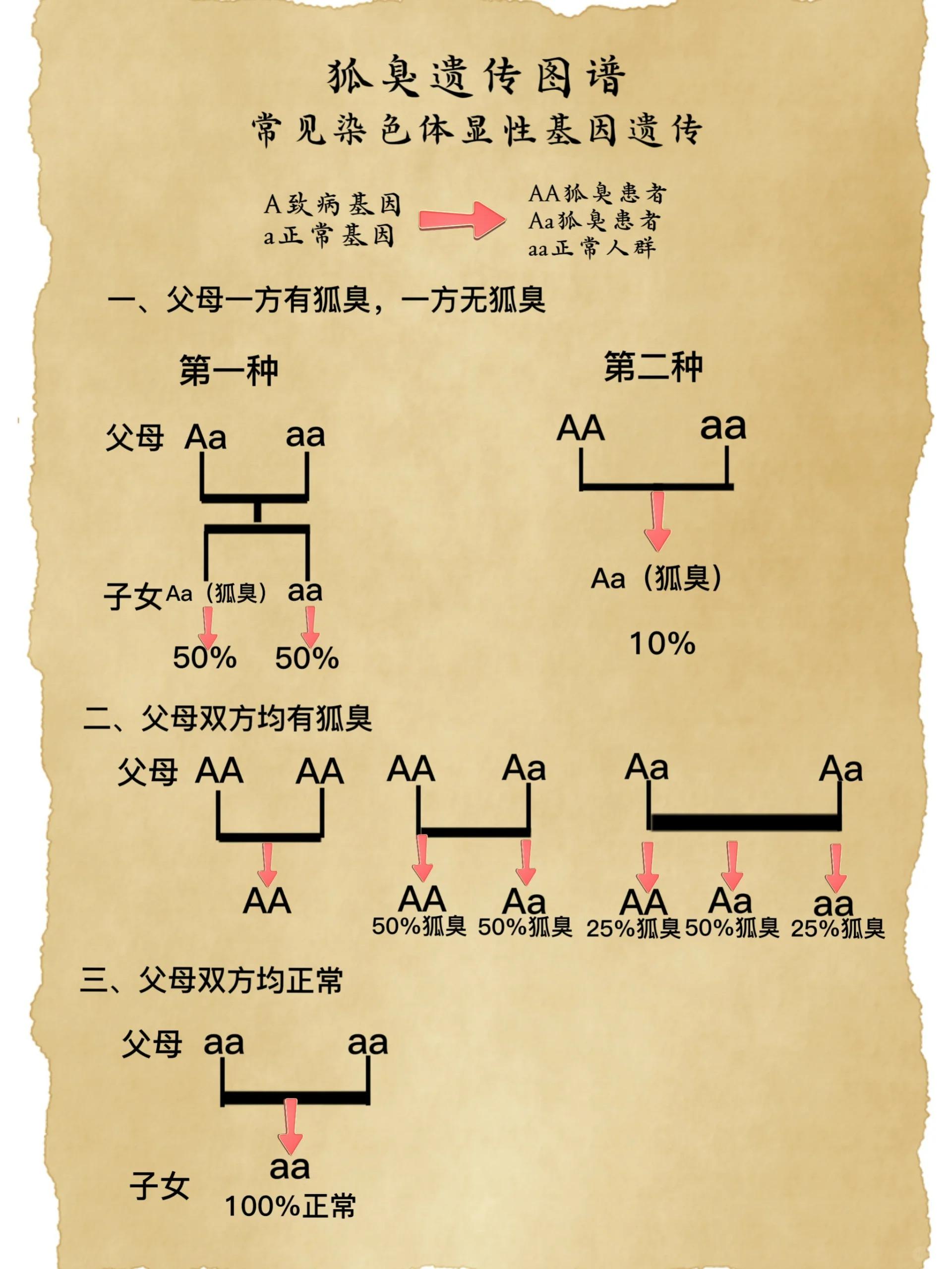 后天性狐臭会遗传吗(不是遗传的狐臭会好起来吗)