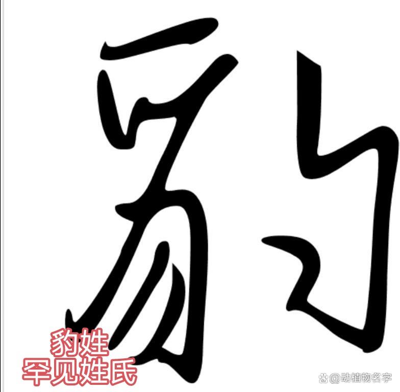 动物名为姓氏有哪些(动物名为姓氏有哪些种类)