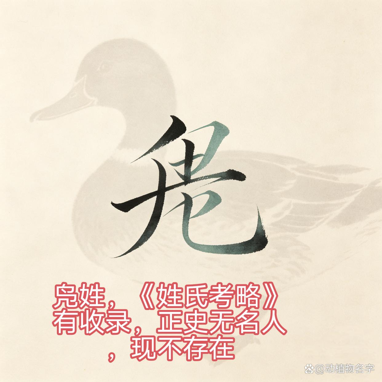 动物姓氏的由来(动物姓氏的由来和历史)