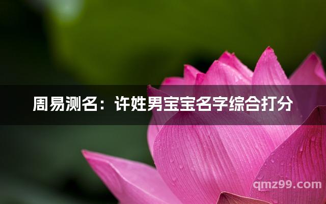 公司起名打分测试100分免费打分(公司起名打分测试100分免费打分1518) 公司起名打分测试100分免费打分(公司起名打分测试100分免费打分1518)