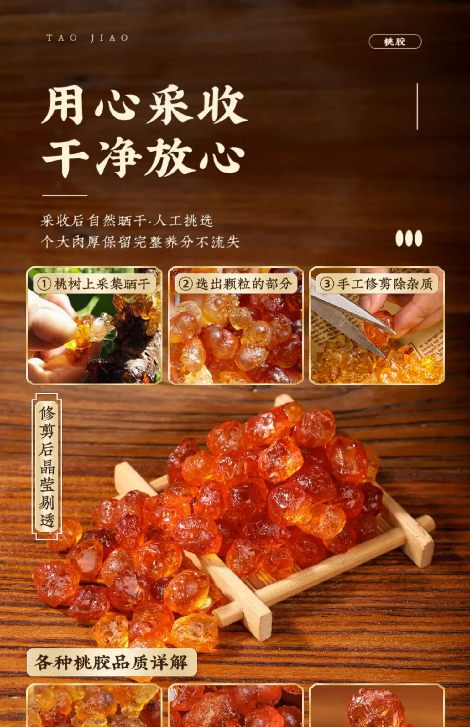 一亩桃树能产多少桃胶吗(一亩桃树一年产多少桃胶价值多少钱)