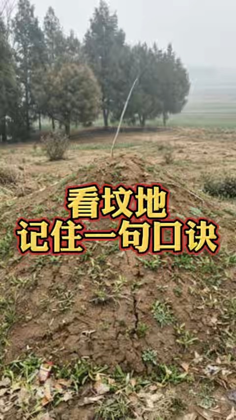 看坟地顺口溜6句话怎么说(看坟地顺口溜6句话怎么说的)
