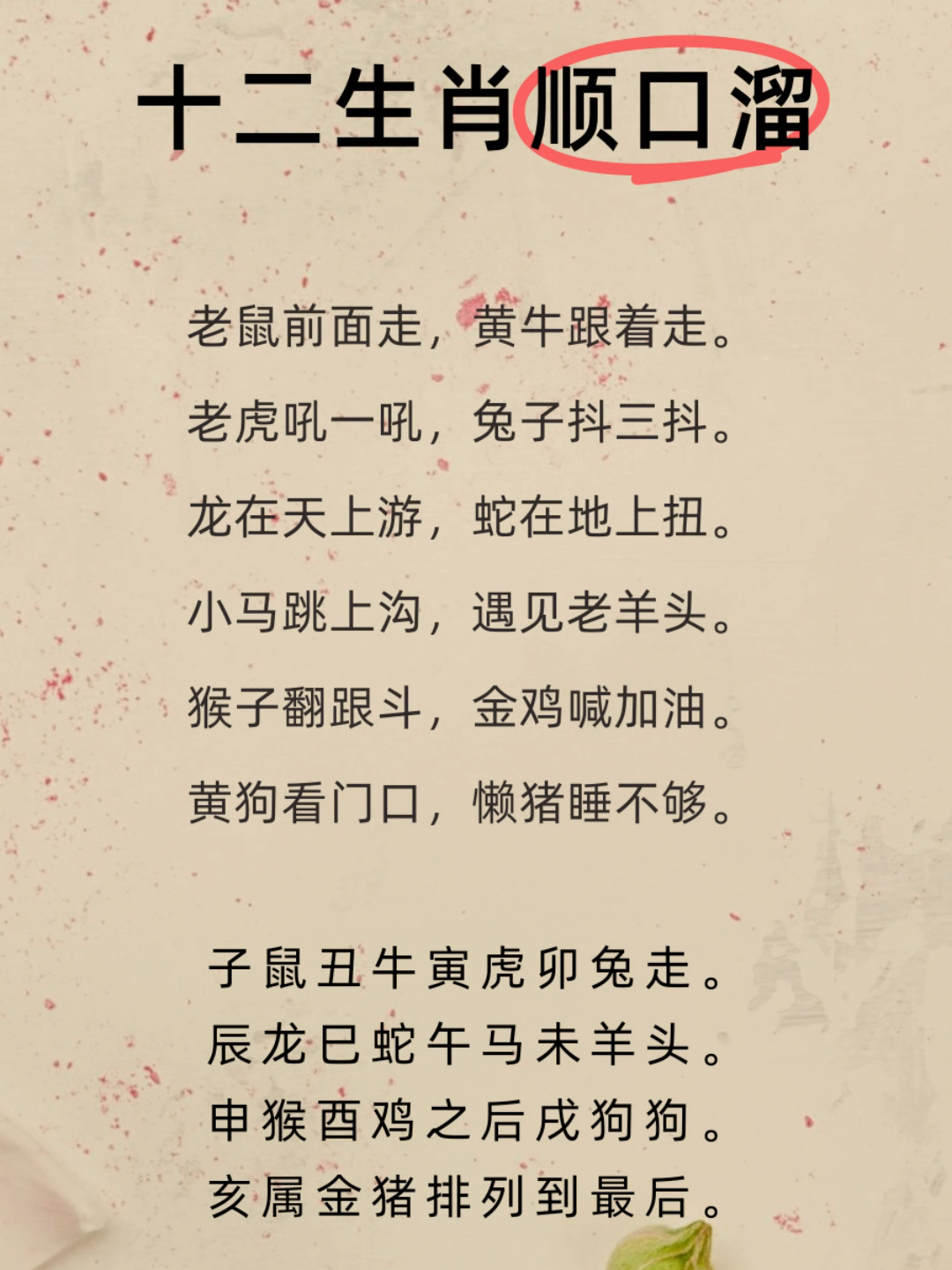 十二生肖有效吗(十二生肖是真的还是假的)