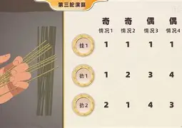 占卜师细木数子(占卜师chinn)