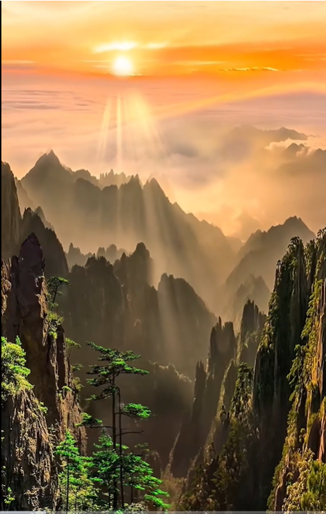 哪里可以运程(脸上长黄褐斑看什么科)