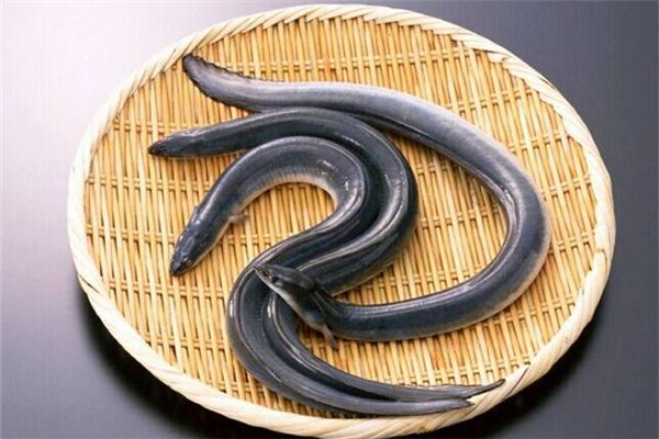 梦见摘丝瓜周公解梦破解大全(周公解梦大全查询2345原版免费梦见自己摘丝瓜)