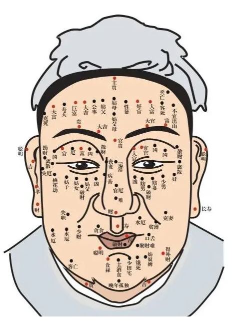 高人运势教程(高人运势教程视频)