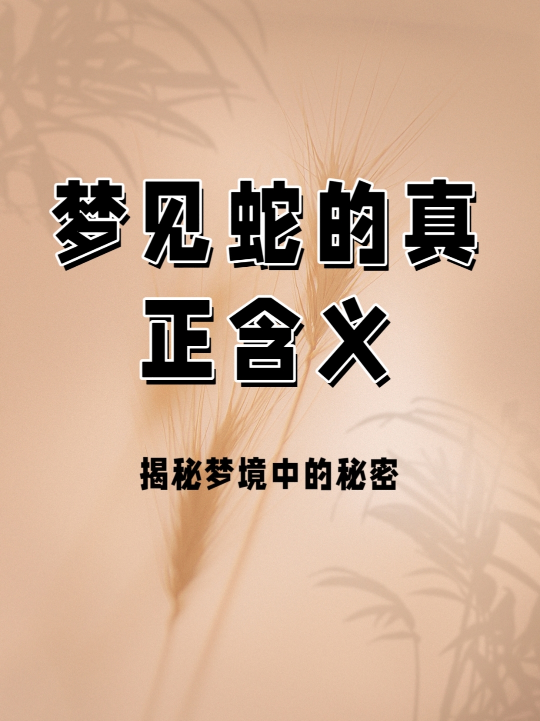 解梦周公免费梦见蛇(周公梦见蛇解梦大全查询) 解梦周公免费梦见蛇(周公梦见蛇解梦大全查询)